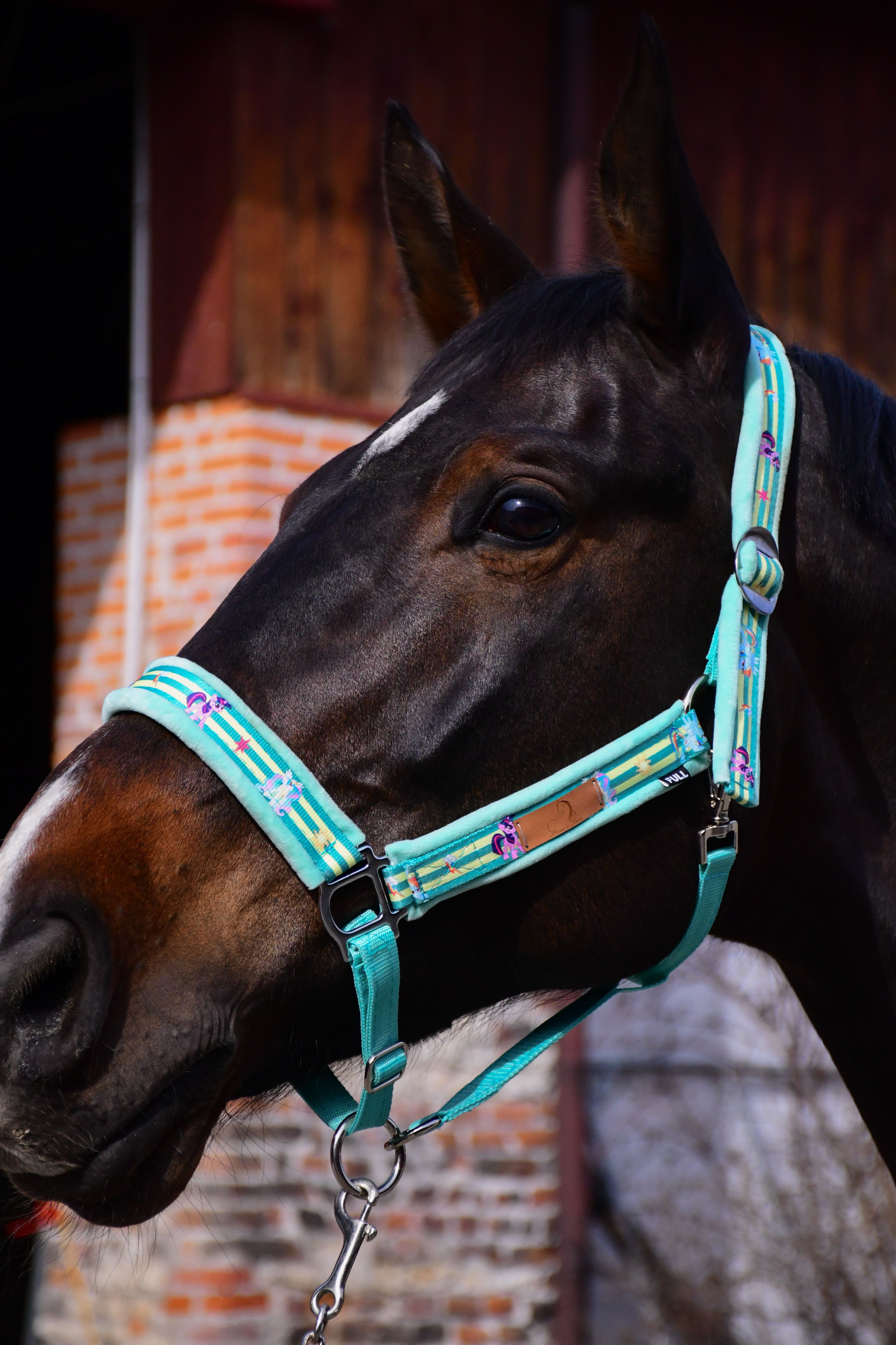 Kantar z motywem kucyków pony (miętowy)