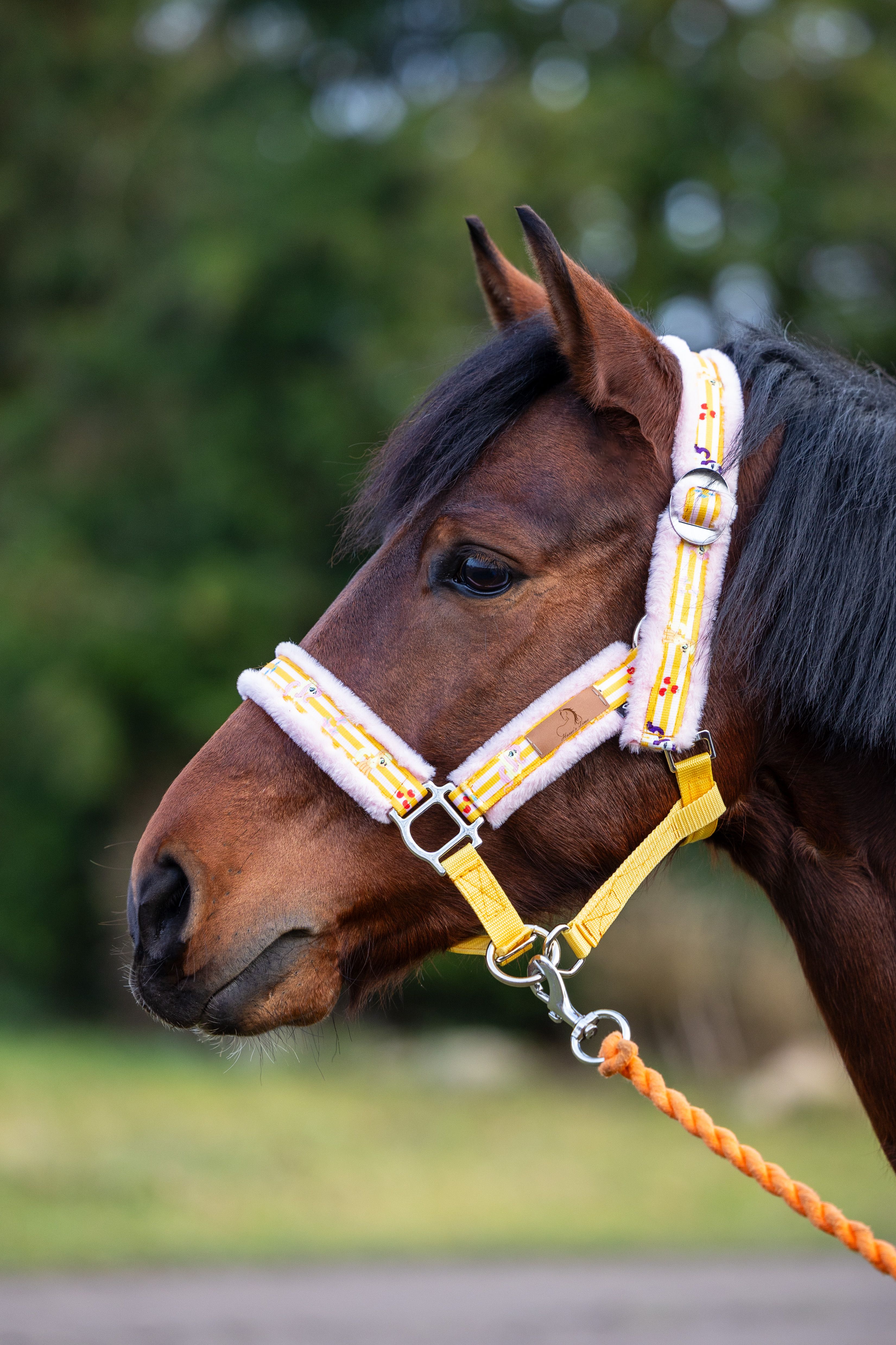 Kantar z motywem kucyków pony (żółty)