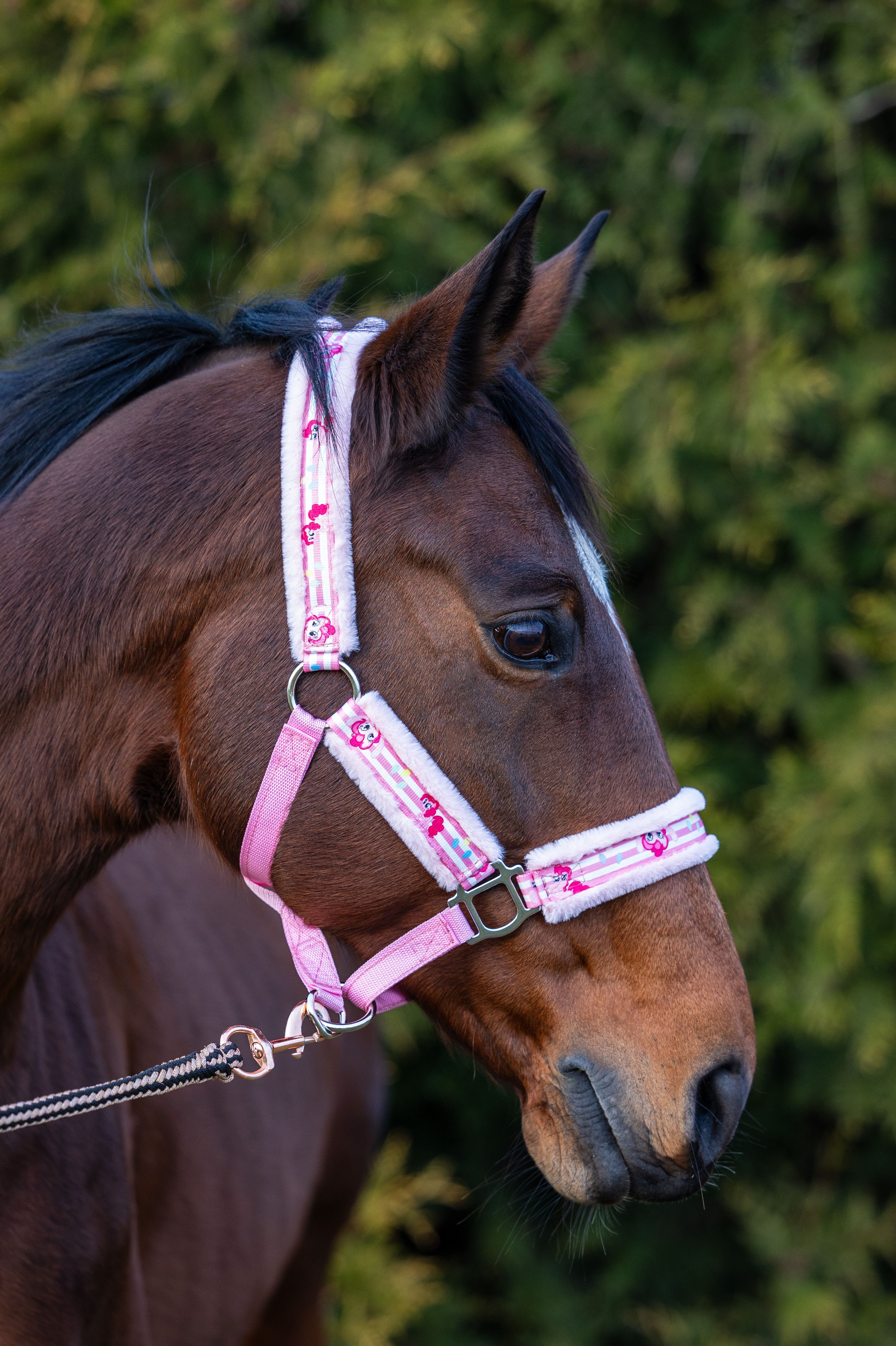 Kantar z motywem Pinky pie